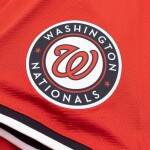 Nike Pánský dres Washington Nationals MLB Alternate 2 Limited Velikost: M