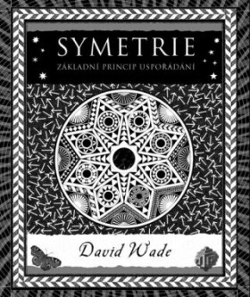 Symetrie - David Wade - e-kniha