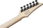 Ibanez RGA42FML Transparent Gray
