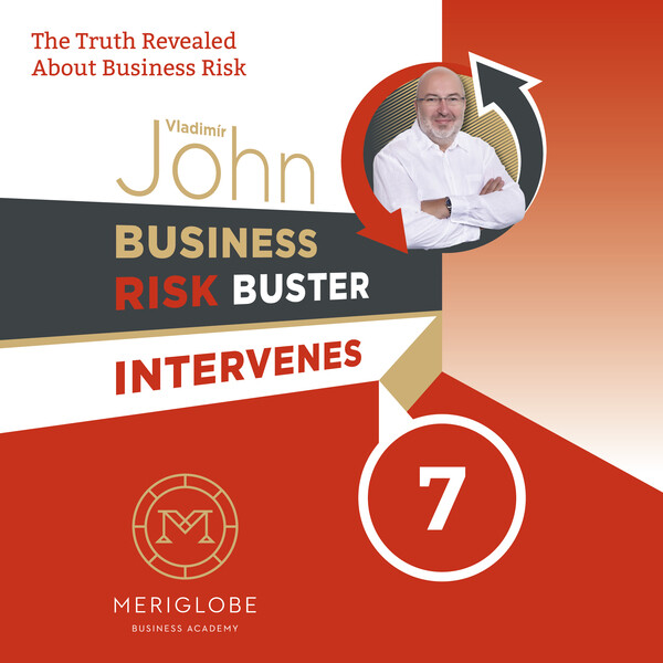 Business Risk Buster Intervenes 7 - Vladimír John