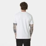 Helly Hansen Core Graphic T 2.0 M 54599 002 tričko m