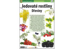 Jedovaté rostliny Dřeviny Naučná karta