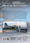 Oblačno, místy bomby - Havárie amerického bombardéru 5. března 1945 u Vísky a letecká válka nad Frýdlantským výběžkem - Michal Plavec