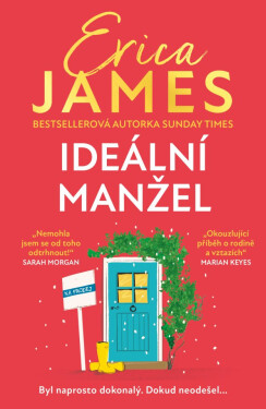 Ideální manžel - Erica James