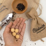 Blossombs Dárková sada semínek slunečnic Hooray – 4 ks, žlutá barva, papír