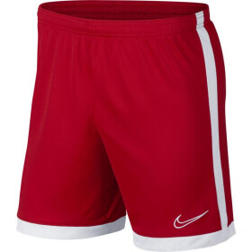 Pánské fotbalové šortky Dry Academy AJ9994-657 Nike