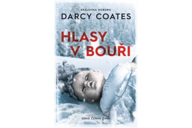 Hlasy bouři