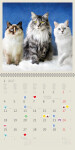Nástěnný kalendář 2027 Helma Cats