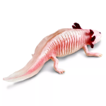 Safari Ltd. Safari Ltd. Figurka - Axolotl