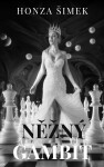 Něžný gambit - Honza Šimek