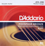 D'Addario EJ17