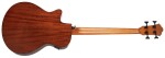Ibanez AEGB24E Black