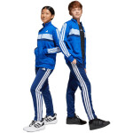 Tepláková souprava adidas Seasonal Essentials Tiberio 3-Stripes Jr JC7518 176CM