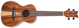 Ortega RUACA-CC