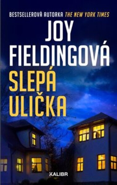 Slepá ulička Joy