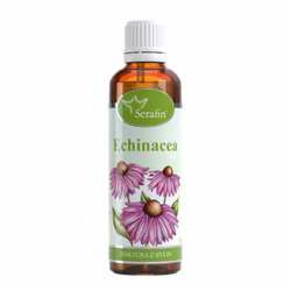 Serafin Tinktura z bylin Echinacea 50 ml