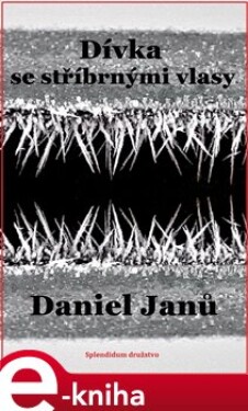 Dívka se stříbrnými vlasy - Daniel Janů e-kniha