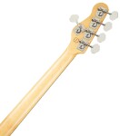 Godin A5 Ultra Natural Fretless A/E with Bag