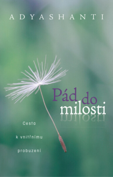 Pád do milosti - Adyashanti - e-kniha