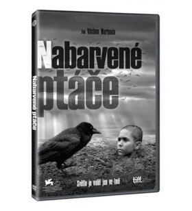 Nabarvené ptáče DVD