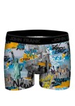 Pánské boxerky John Frank JFBD383