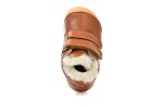 Bisgaard Carter Lamb Cognac