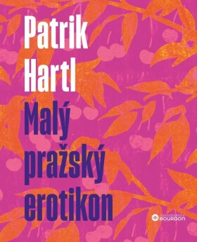Malý pražský erotikon Dárkové ilustrované vydání Patrik Hartl