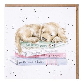 Přání Wrendale Designs A Pup´s Life, 15x15 cm - Štěně