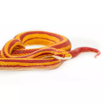 Safari Ltd. Safari Ltd. Figurka - Užovka červená