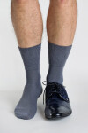 Pánské ponožky Regina Socks Frote Bambus grafit 39-42