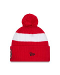 Pánská zimní čepice Detroit Red Wings NHL New Era Cold Winter