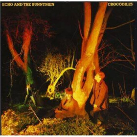 Crocodiles - CD - & The Bunnymen Echo