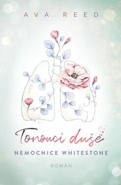Tonoucí duše (poškozené) - Ava Reed