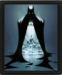 Obraz 3D Batman - Gotham protector - Pyramid
