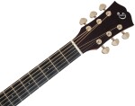 Dowina Rustica DE-s StagePro
