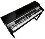 Kurzweil CUP P1 BK