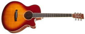 Tanglewood TW4 E SB