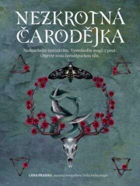 Nezkrotná čarodějka