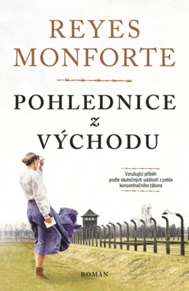 Pohlednice z východu - Reyes Monforte - e-kniha