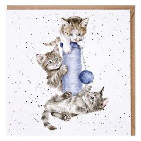 Přání Wrendale Designs Three´s a Crowd, 15x15 cm - Kočky