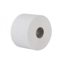 Ostatní - CWS Toaletní papír, 150m, 1 vrstvý, šedý, recykl. Průměr 17 cm 10601006021 10601006021