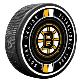 Mustang Puk Boston Bruins NHL Ribbon