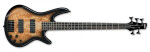 Ibanez GSR205SM Natural Gray Burst