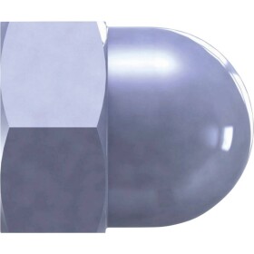 Reisser 31786 kloboučková matice M10 50 ks