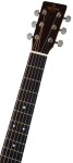Sigma Guitars DTC-STE-MF