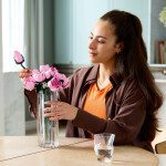 LEGO LEGO® Botanicals 10374 Kytice růžových růží