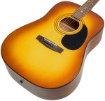 Cort AD810