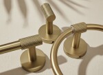 REA - Držák na toaletní papír 5705 Galo Brush Gold REA-88054