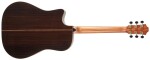 Furch Red Pure Dc-SR CNR Active
