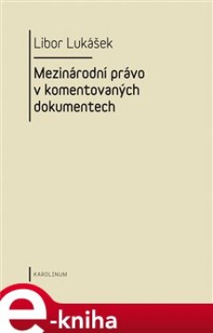 Visegrádská skupina a její vývoj v letech 1991-2004 - Libor Lukášek e-kniha